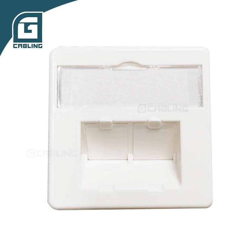 dual port face plate